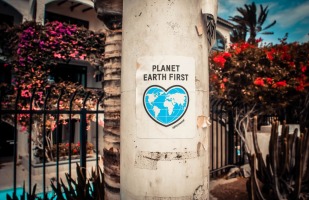a flyer on a pole that says "Planet Earth First" 