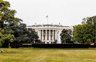 the white house 