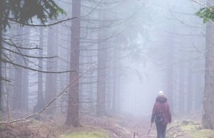 a woman walking with her dog in foggy woods.
